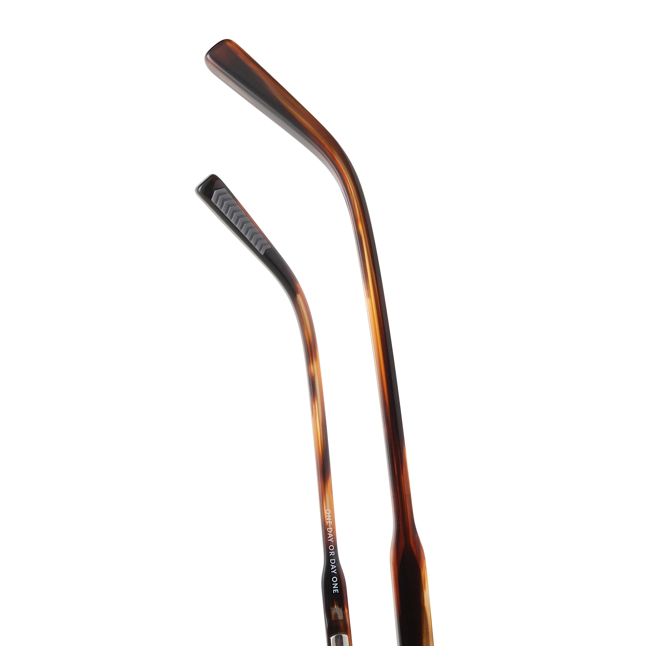 The Echo - Brown Horn - Image 14